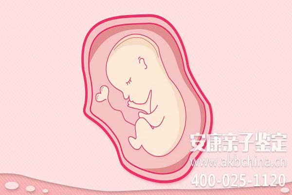 白城胎儿亲子鉴定5周，DNA鉴定无创胎儿过程 